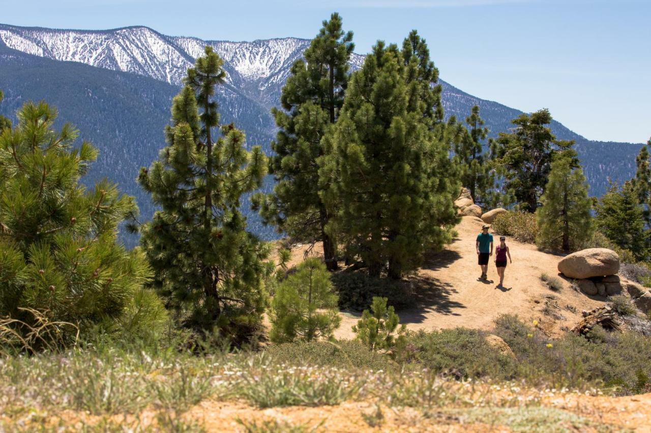 Embers Lodge & Cabins Big Bear Lake Exteriör bild